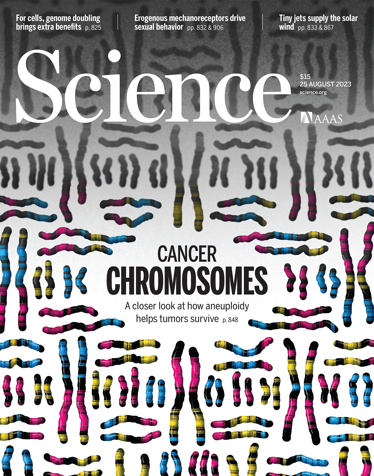 Science Volume 381 Issue 6660